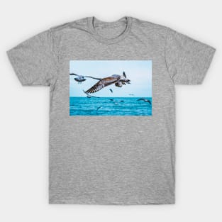 Flight of the Seagull Photograph T-Shirt